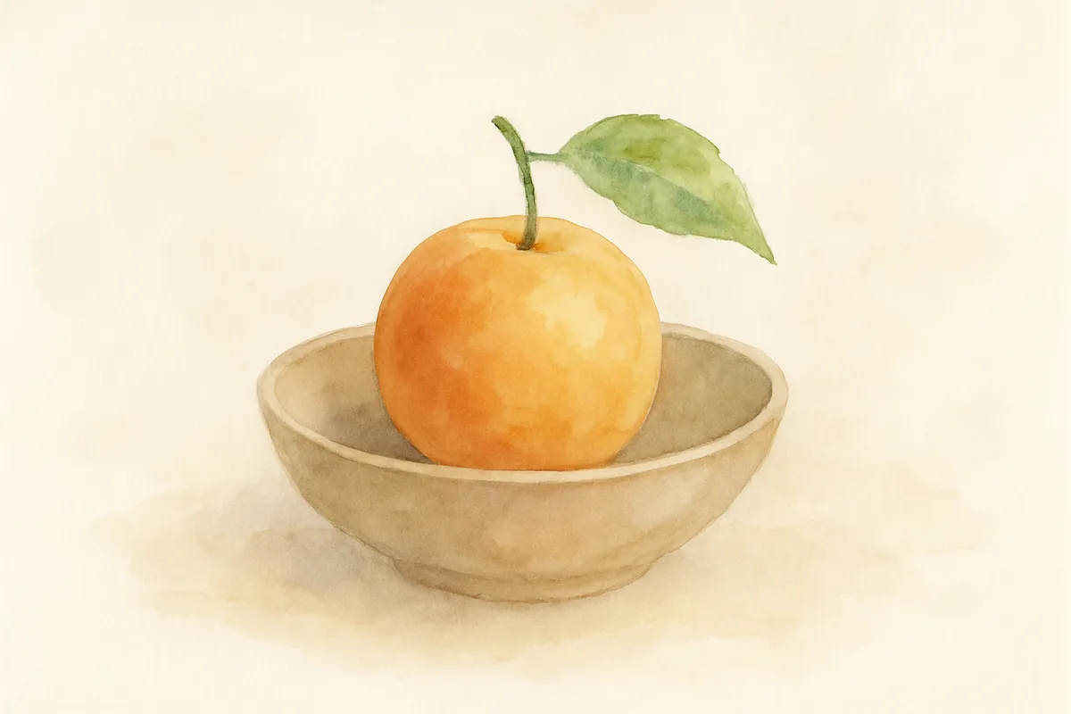 What is the meaning of shehecheyanu?